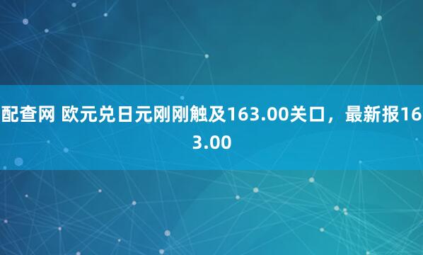 配查网 欧元兑日元刚刚触及163.00关口，最新报163.00