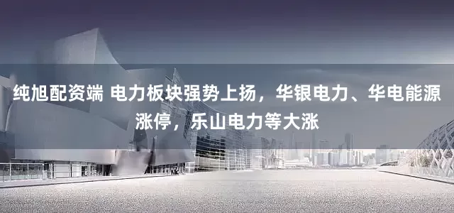 纯旭配资端 电力板块强势上扬，华银电力、华电能源涨停，乐山电力等大涨