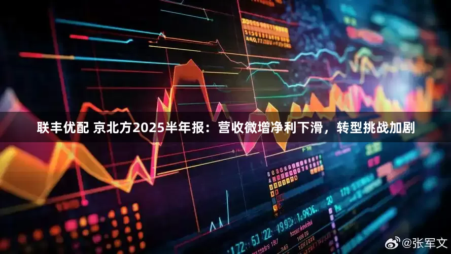 联丰优配 京北方2025半年报：营收微增净利下滑，转型挑战加剧